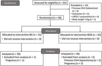 Analgesic Efficacy of Bupivacaine or Bupivacaine-Dexmedetomidine After Intraperitoneal Administration in Cats: A Randomized, Blinded, Clinical Trial